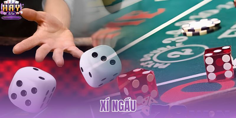 Lắc Xí Ngầu Online 3D Mượt Mà - Tung Xúc Xắc Miễn Phí 1 Xí Ngầu